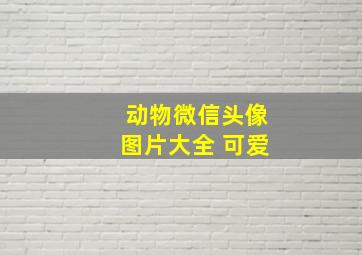 动物微信头像图片大全 可爱